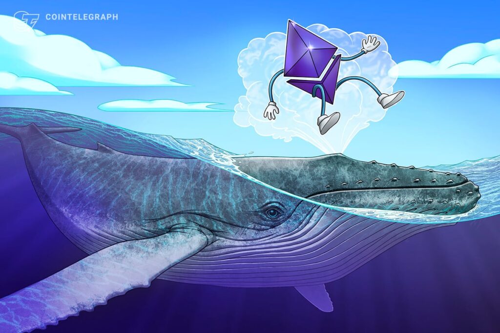 Ethereum Wallet Rebuilds $19.5M Position as ETH Trades 56% Below Peak